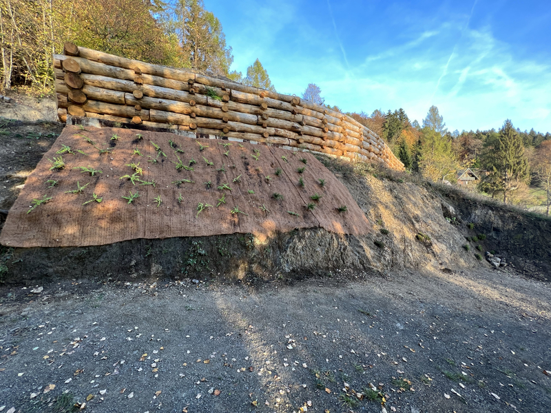 slide-image