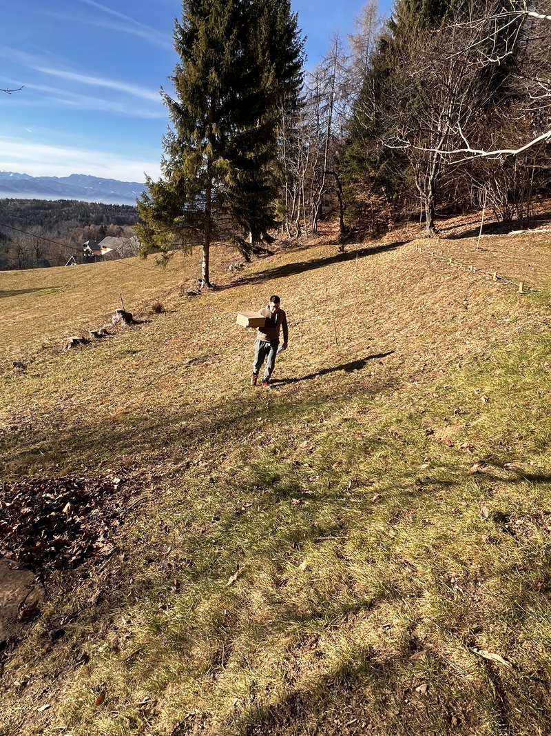 slide-image