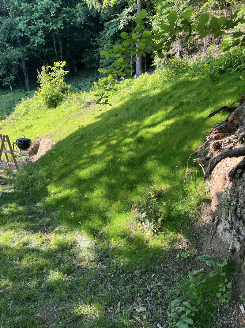 slide-image