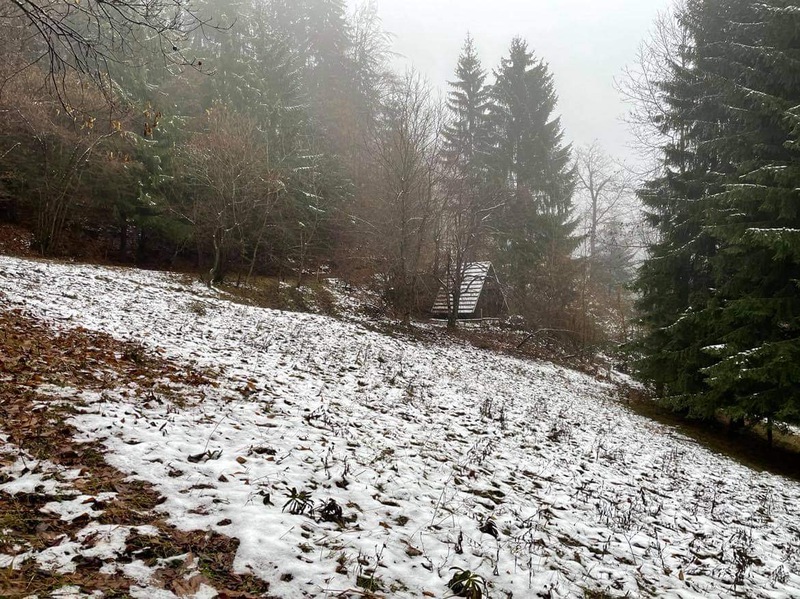 slide-image