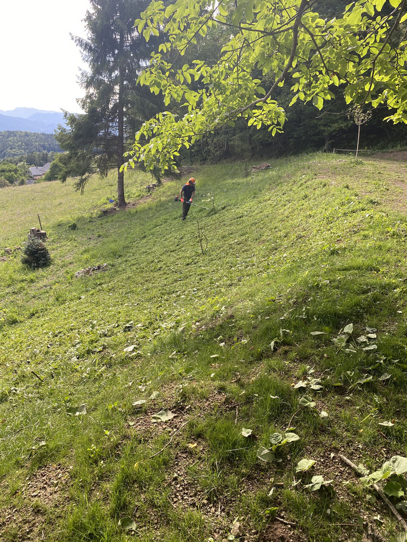 Sreča